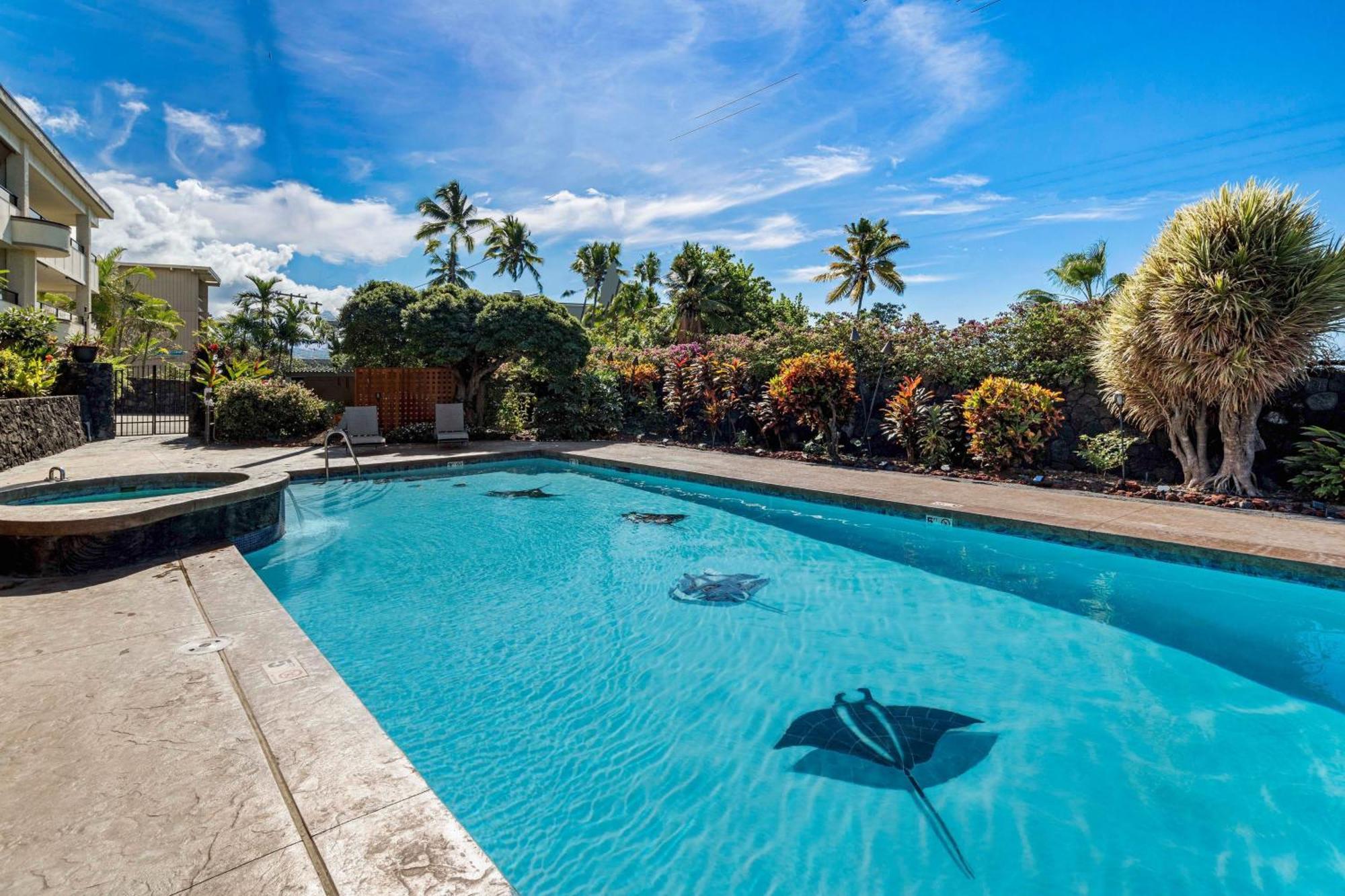 Direct Oceanview Paradise In A Luxury Condo 2B2B,Ac 凯路亚-科纳 外观 照片